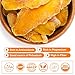 Organic Dried Mango Slices – Soft & Juicy, No Artifical Added Sugar – Naturally Ripened, Gluten-Free, Vegan, Non-GMO, High in Vitamin C & Fiber – Healthy All-Natural Snack – 450g Grams
