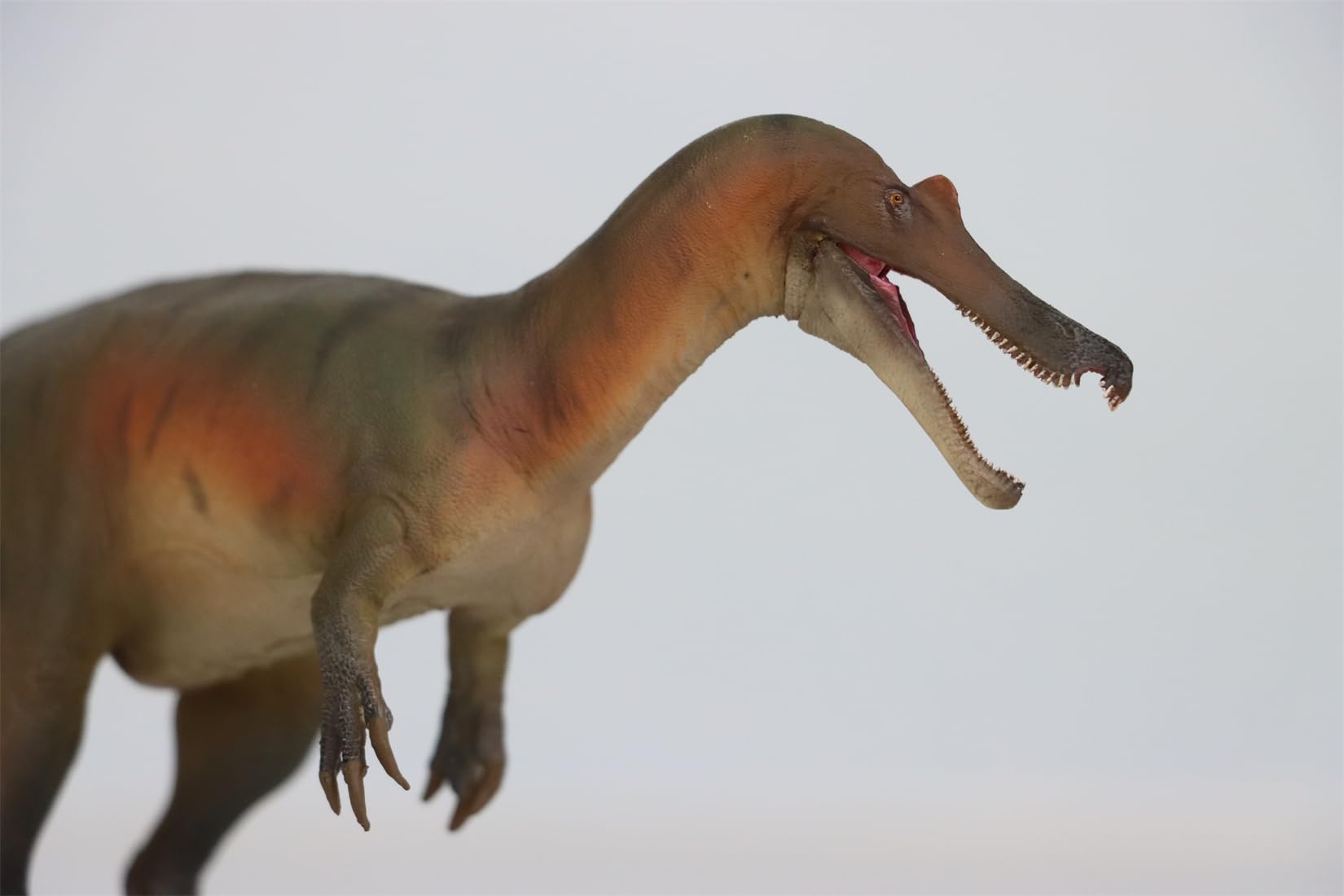 AMITD 84 Baryonyx Maxim Model SpDinosauridae Prehistoric Dinosaur Collector Animal Decor Gift