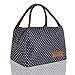 HOMESPON Sac Isotherme à Repas Portable Lunch Bag à Déjeuner Waterproof avec Feuille d'Aluminium Isolée Sac à Main Pliable pour Femme, Enfant à l’École et au Bureau