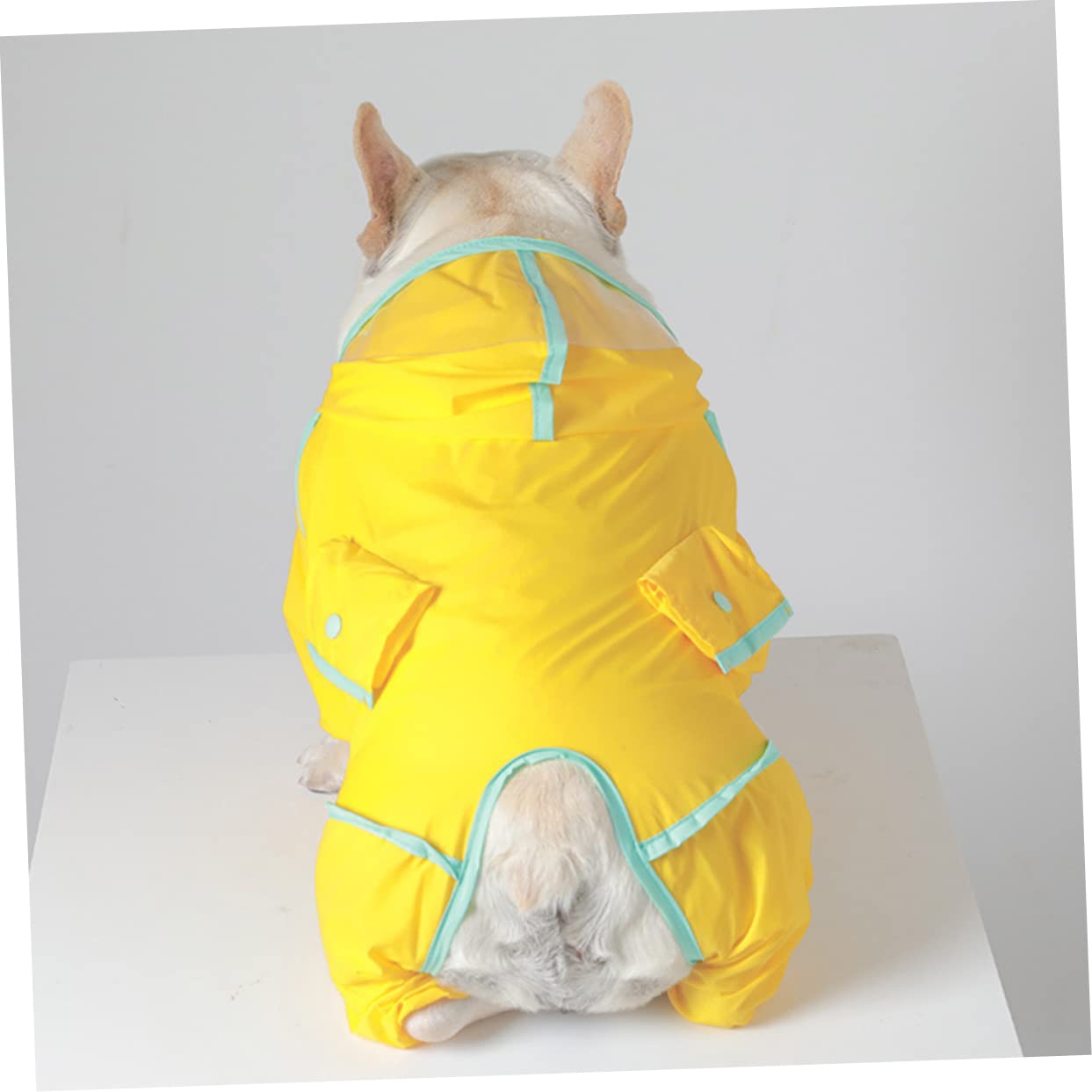 3 Pièces imperméable pour Chien Dog Coat Manteaux pour Chiens Dog Clothes Poncho Pluie imperméable Mode vêtements de Pluie Petits et Moyens Chiens Chiot Buse de Graisse Nylon