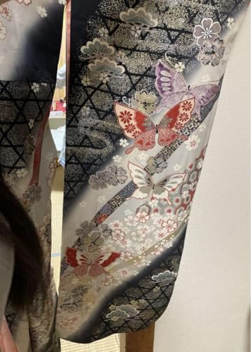 Furisode Coming-of-Age Ceremony Kimono Kimono Kimono