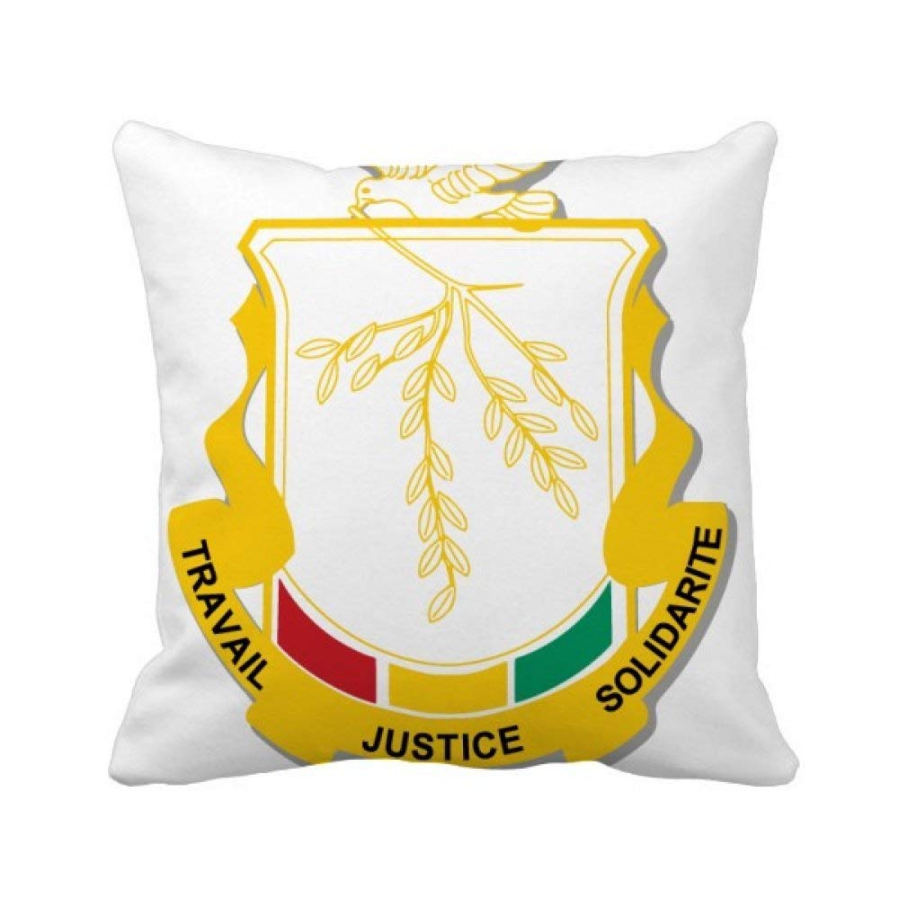 Coussin Guinée pour canapé : l'oreiller idéal contre les salons ternes