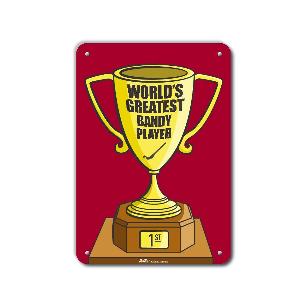 Trophée rouge en aluminium de 25,4 x 35,6 cm pour votre bureau