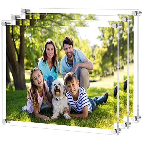 Niubee Clear Acrylic Wall Mount Floating Frameless Picture Frame Up To 18X24 Photo For Poster Photography Frames-Double Panel(3 Pack) #TOP10