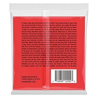 Ernie Ball Cordes filées moyennes en nickel avec cordes G filées, pour guitare électrique, calibre 13-56 – Image 2