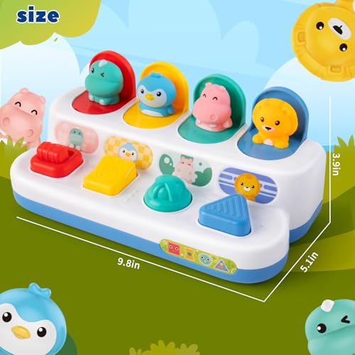 Tovol Zerky Montessori Ursache-Wirkung Spielzeug 12 Monate, Baby Druckknopf Pop-up Tier Spielzeug, Interaktive Sinnes Spielzeuge für Kleinkinder 1 2 3 (Tierfigur)
