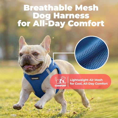 Image of Voyager Step-in Air Dog Vest Harness - Royal Blue, XXX-Small
