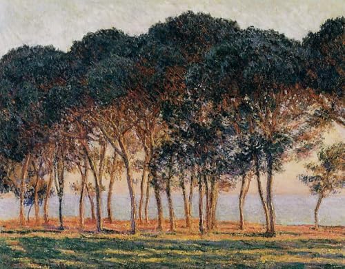 Huile sur toile Claude Monet Sous les pins à la fin de la journée paysage