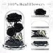 Tyvouflo Forever Flowers in Glass Dome - Preserved Roses, for Her Women Valentine's Day, Mother's Day, Anniversary A-Grade Black Roses, Home Decor for Girlfriend, Wife, Sister, Mom (Black)