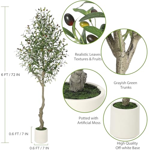 Artificial Olive Tree 6FT Tall Faux Olive Tree Indoor Fake Silk Plant with Realistic Trunk, Leaves, Fruits and White Planter, Faux Potted Tree for Home Decor and Housewarming Gift, 1 Pack