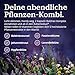 NATURE LOVE® Baldrian Komplex – 90 Kapseln ohne Melatonin – mit Johanniskraut, Passionsblume, Folsäure, Lavendelblüte & B-Vitaminen – vegan