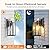 PARTPHONER Dusk to Dawn Outdoor Light Fixtures Wall Mount, Sensor Porch Lights, Anti-Rust Exterior Wall Sconce Lighting Lamp, Waterproof Wall Lantern for Doorway, Garage, 2-Pack