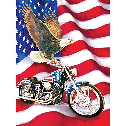 Watyw Diy 5D Diamond Painting Strass Complet American Eagle Moto 3D Strass Diamant Rond Peinture Broderie sans cadre 50x60cm Cover