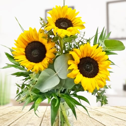 Sonnenblumenstrauß - Drei große Sonnenblumen mit Eukalyptus - Inklusive Grußkarte