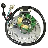 DJ-Motor Magneto Coil Stator Flywheel Rotor Kit No Light for Zongshen GPX150 GPX155 GPX160 150cc 155cc 160cc Oil-Cooled 4 Stroke 1P60YMJ Engine Pit Dirt Bike
