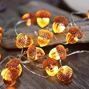 Thanksgiving Decorations Fall Lights Acorn String Lights Forest Décor Fairy Decorative Lights 30 LEDs 10ft USB Powered with Remote for Bedroom Farmhouse Home Holiday Thanksgiving Decoration Thanksgiving Decorations Fall Lights Acorn String Lights Forest Decor Fairy Decorative Lights 30 LEDs 10ft USB Powered with Remote for Bedroom Farmhouse Home Holiday Thanksgiving Decoration