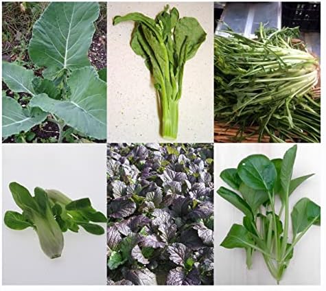 Oriental Greens zestaw upominkowy z 5 azjatyckimi, bardzo zdrowymi odmianami liści