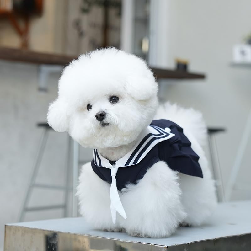 Vestido Princesa para Perros Pequeños Azul Talla X-Large miniatura 2