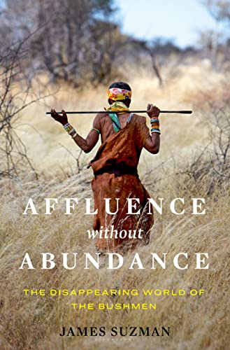 Affluence Without Abundance view 2