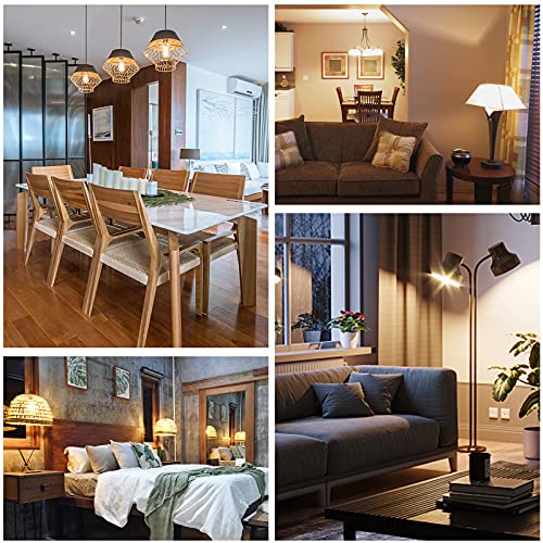 Topleder E27 Screw Bulb 6 Pack, Led Light Bulb 2700K Warm White 6W (Equivalent To 60W) 640LM, Non-Dimmable, G45 Golf Ball Bulb Ses, Mini Globe Clear Led Filament Bulb - 7