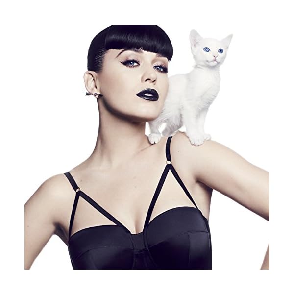 COVERGIRL Katy Kat Matte Lipstick Created by Katy Perry Perry Panther, .12 oz (packaging may vary)