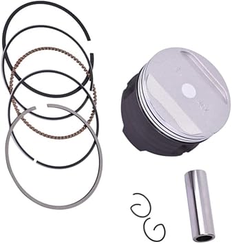 73mm 73.25mm .5mm .75mm 74mm STD +100 Motorcycle Engine Piston Rings Kit Suitable for TT-R250 04-06 TTR250L M N P R 1999-20031.0 size