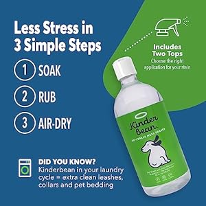 Dog  cat urine stain and odor eliminator for carpet upholstery hard floors  2 pack 32 oz  grapefruit  thyme scent enzyme bio active formula with squeeze and spray top   cucciolini doodles