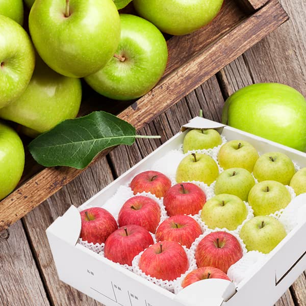 北のデリシャス 山形県産 りんご サンふじ＆王林 詰め合わせ (秀品/常温品) 林檎 お歳暮 ギフト 贈り物 贈答 お祝い 内祝い ご家庭用 産地直送 果物 フルーツ お取り寄せ