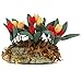 Produktbild Puppenhaus Blume Busch - SODIAL(R)Puppenhaus Miniatur 1/12 Garten Eine Reihe Von Blume Tulpe Laenge 5,5 Cm