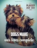 allevamento yorkshire mini toy emilia romagna  Dogs Make Our Lives Complete Planner 2020-2024 (5 Year Planner): 60 Months Yearly Planner Monthly Calendar, Agenda Schedule Organizer and Appointment ... Terriers/Gift For Yorkshire Terriers lovers.