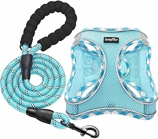 haapaw Dog Harness and Lead Set, No Pull Adjustable Reflective Step-in Puppy Harness with Thickened Padded Vest for Extra-Small/Small Medium Dogs