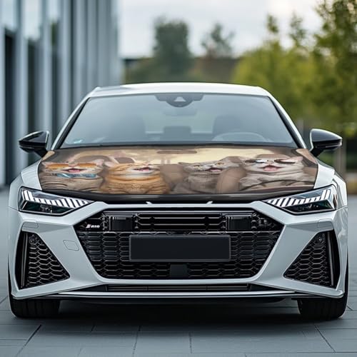 Image of Cute Cat Car Hood Cover, Car Bonnet Banner, Universal Fit, Elastic Polyester, Stretchable, Patriotic Automotive Hood Covers