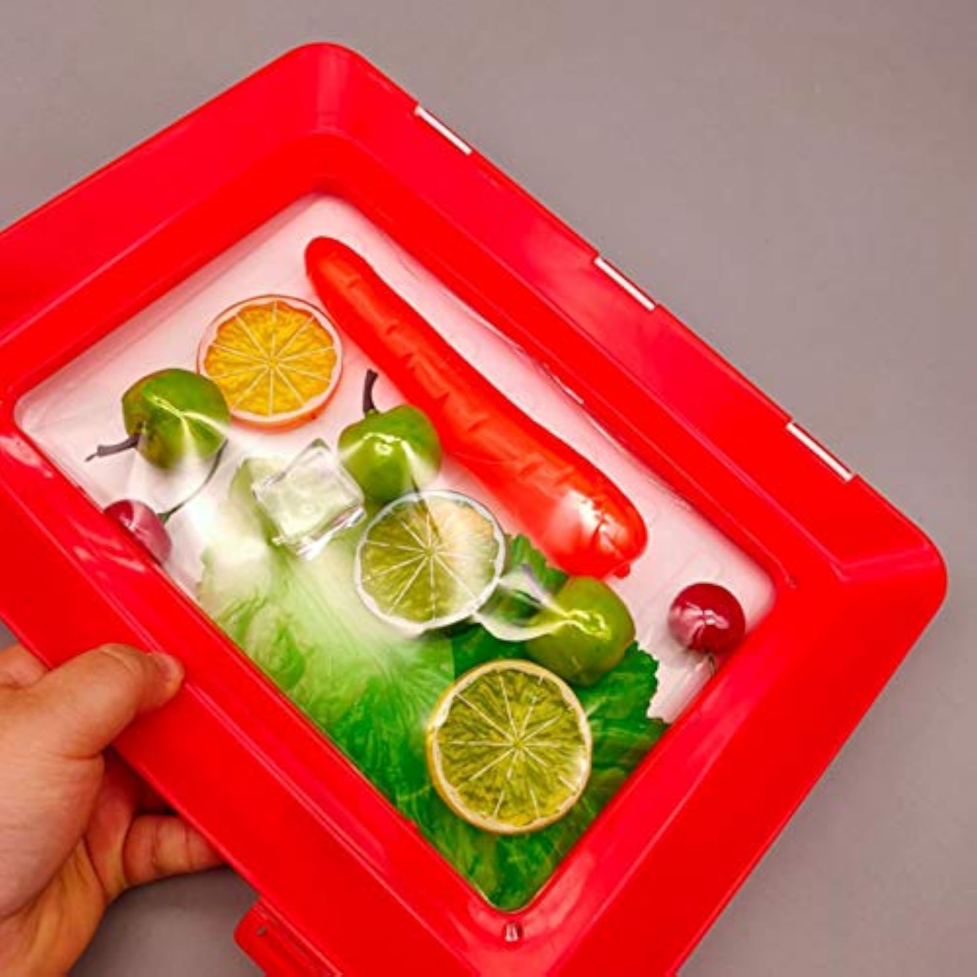 Creative Preservation Tray for Fresh Food Serving