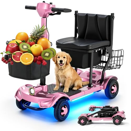 Ecomobi Lightweight Scooter