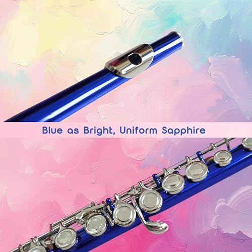 Image of Deloitte C Flute Closed Hole 16 Keys Nickel Plated, DFL-401, for Beginner Student Flute Instrument with Cleaning Kit, Carrying Case, Gloves, Tuning Rod (Sapphire)