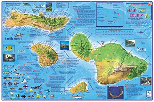 Poster Maui plastifié de plongée haute définition avec finitions - 3