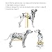 Anmas Sport Silla de ruedas ajustable para perros pequeños (XS), peso de...