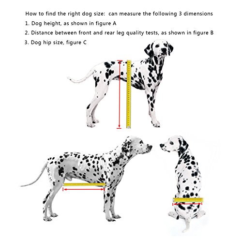 Adjustable Aluminium Dog Wheelchair for Small Pets, Rehabilitation Aid Hind Leg Mobility Cart for Dogs and Cats - Image 4