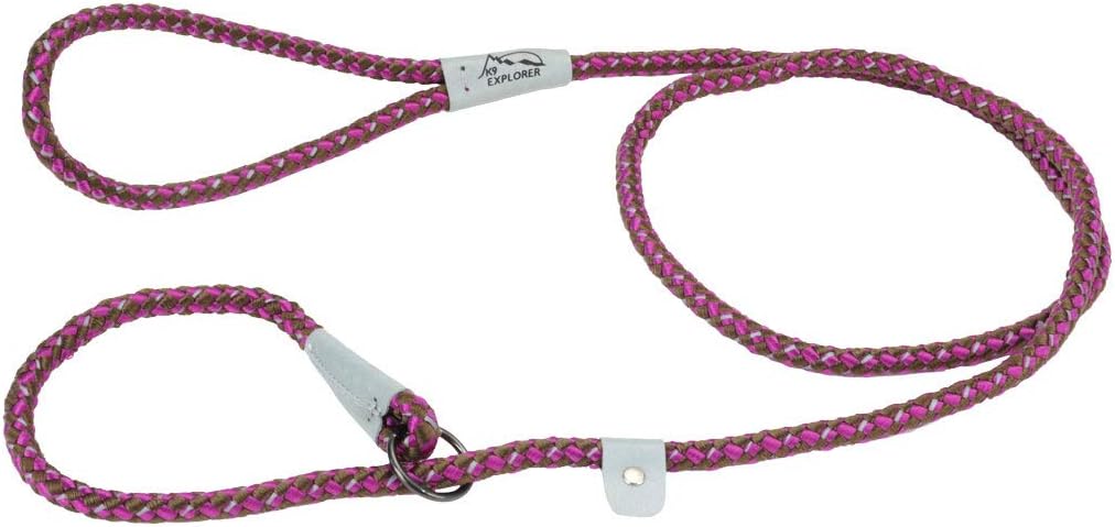 Coastal - K-9 Explorer - Reflective Braided Rope Slip Dog Leash, Fern, 06'