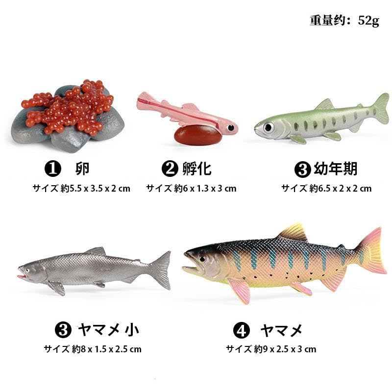 Amazon.co.jp: [猫神山] ヤマメ 山女魚 成長過程 5体 フィギュアセット
