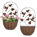 BAYN 2PKs Wall Hanging Planter Decor Art with Hummingbirds,...