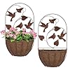 BAYN 2PKs Wall Hanging Planter Decor Art with Hummingbirds Metal Wall Mounted Planters Indoor Outdoor Wall Planter for Succulent Herb Home Garden Yard