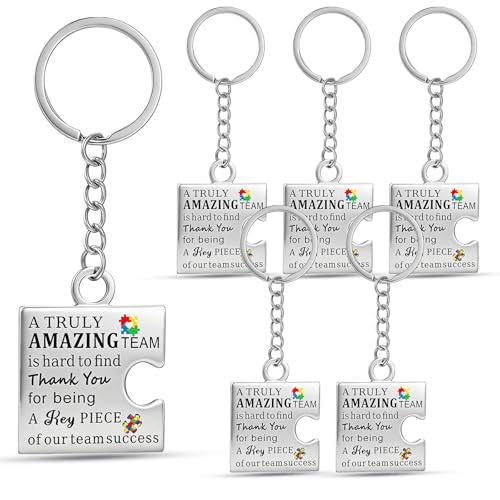 Nosiny 6 Pcs Team Appreciation Gifts for Employee Puzzle Piece