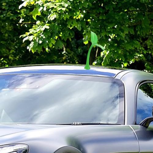Accesorios de decoración exterior de coche y techos de vehículos 7