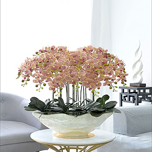 ���A���̌Ӓ����A�G���ƊL�k�̉Ԃ̔��A������������A���ȃV�~�����[�V�����̉ԁA�Ƃ̑����ɍœK�AA5