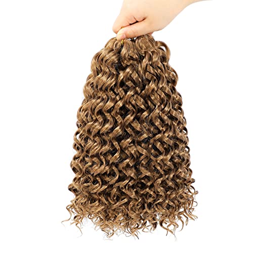 Dansama 6 Packs 12inch GoGo Curl Crochet Braids Water Wave Crochet Synthetic Hair Extensions (12 inch, 27)