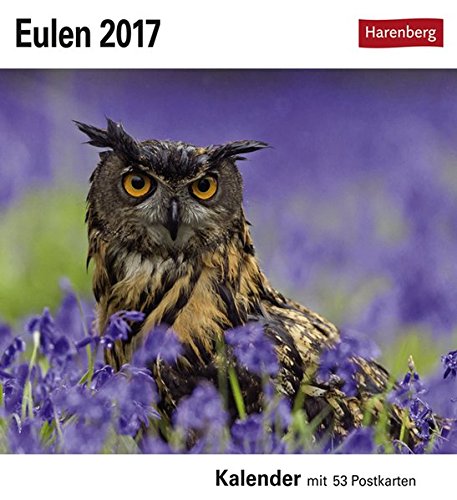 Eulen 2017 Postkartenkalender: Kalender mit 53 Postkarten