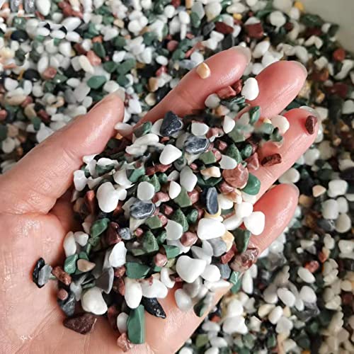 Zhuddong Aquarium Rocks-3Lb Natural Decorative Mixed Color Pebbles Fish Tank Gravel Small Garden Rocks Soil Cover For Aquariums, Mixed Color Stones,For Aquariums Gravel,Vase Fillers (Color Mixing) #TOP6