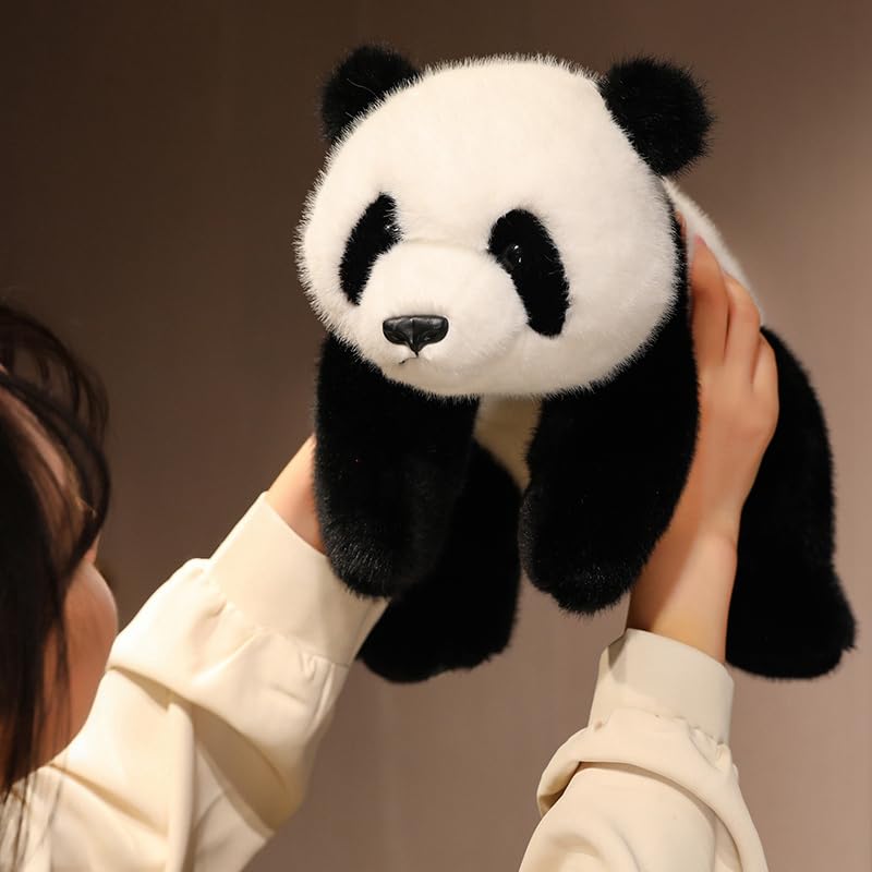 抱き枕 ぬいぐるみ 熊 クマ ベア パンダ panda 熊猫 Amazon.co.jp: BEARS'HOMEぬいぐるみ くま クマ 熊パンダpanda抱き枕