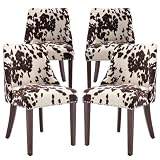 chairus